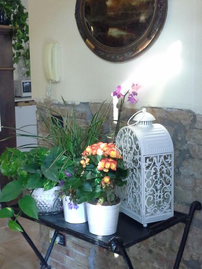 بريشيلّو B&B Happiness In The Country المظهر الخارجي الصورة